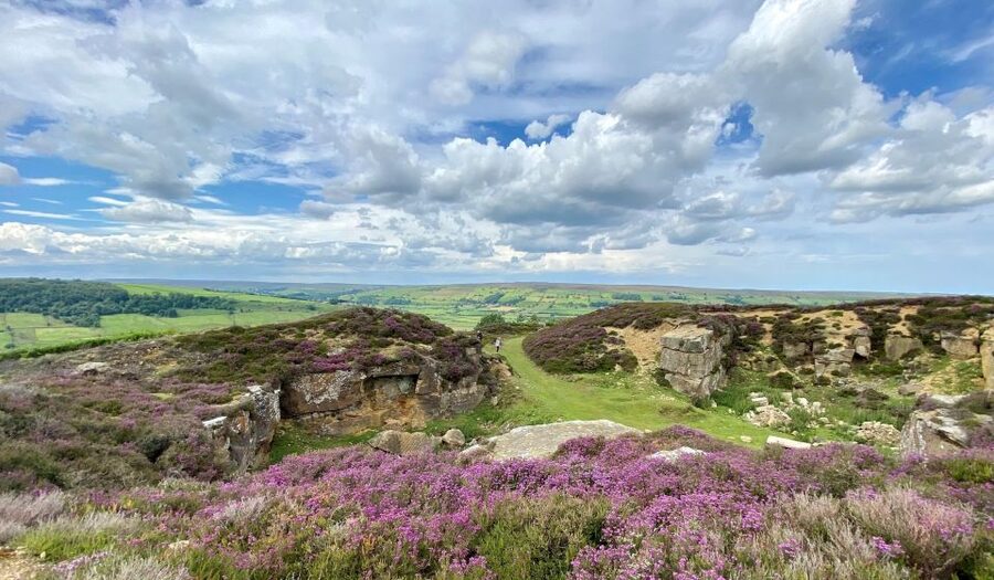 From London: The North York Moors with Steam Train to Whitby - Two hours in Whitby by the sea