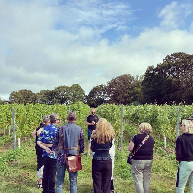 From London: Vintage Bus Wine Tour with Return Train Tickets - A Sussex hamper among the vines