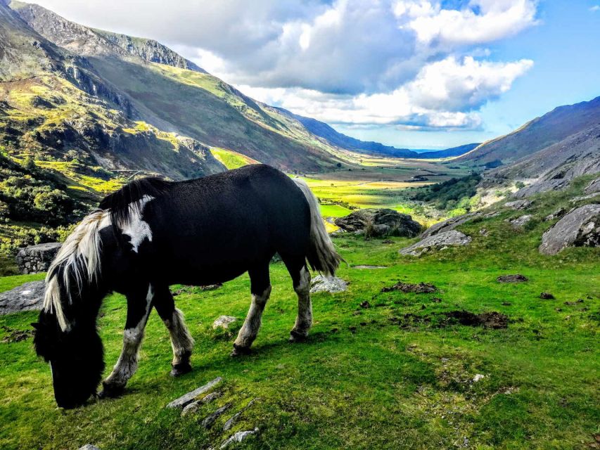From Manchester: North Wales Sightseeing Adventure Day Trip - Who will enjoy this North Wales day trip?