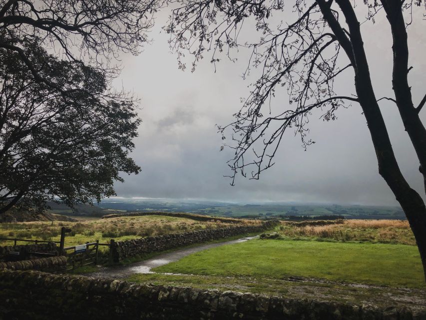 From Newcastle: Hadrian's Wall Day Tour - Key points to know before booking
