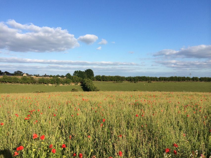 From Oxford: Cotswolds Towns and Villages Small Group Tour - Bourton-on-the-Water is the practical lunch break