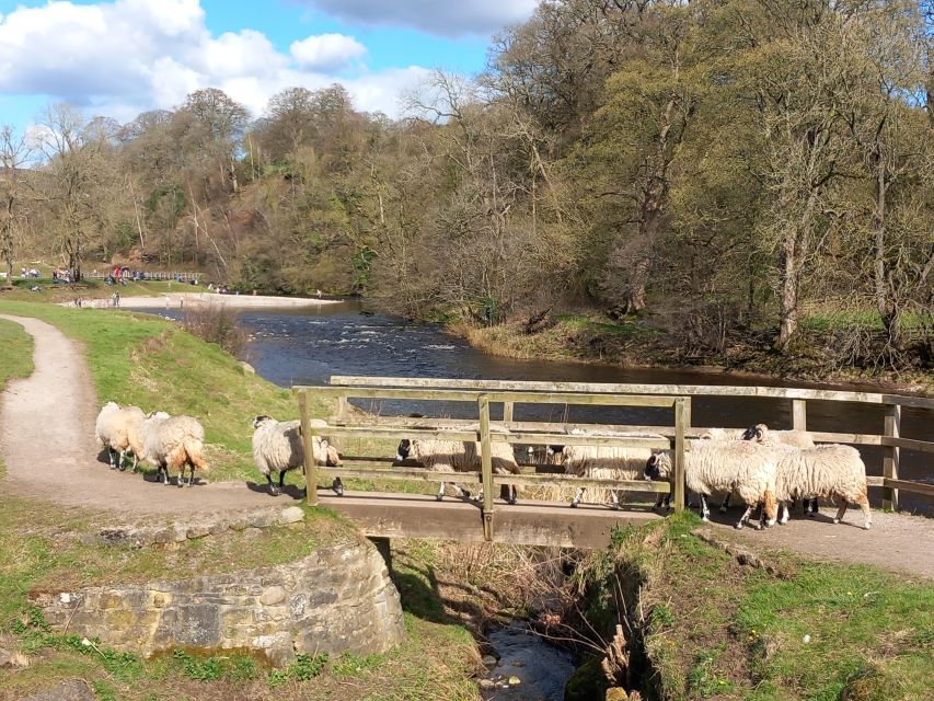 From York: Herriot and Yorkshire Dales Day Trip - Across Masham Moor to Nidderdale
