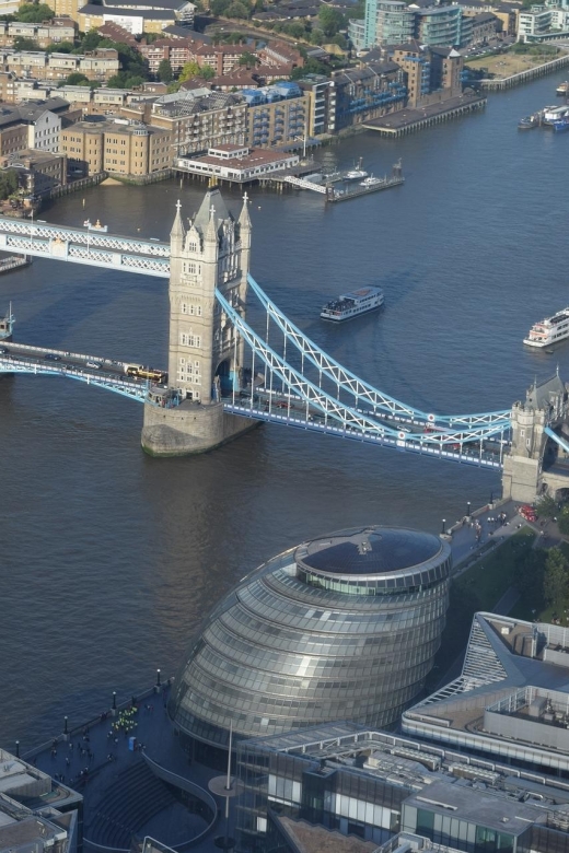 Full Day London Tour in a Private Vehicle with Admission - Westminster Abbey and the Parliament quarter