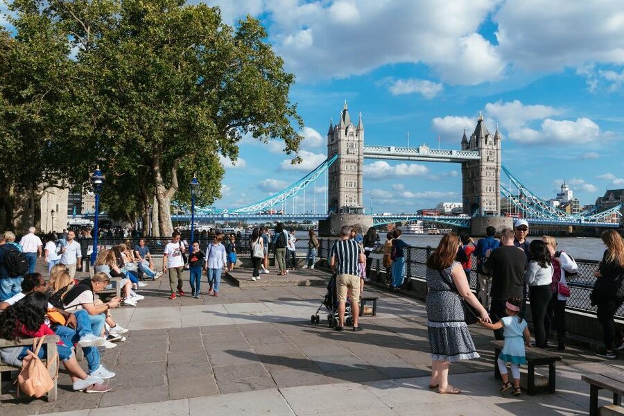 Full Day London Tour in a Private Vehicle with Admission - The Tower of London and Tower Bridge