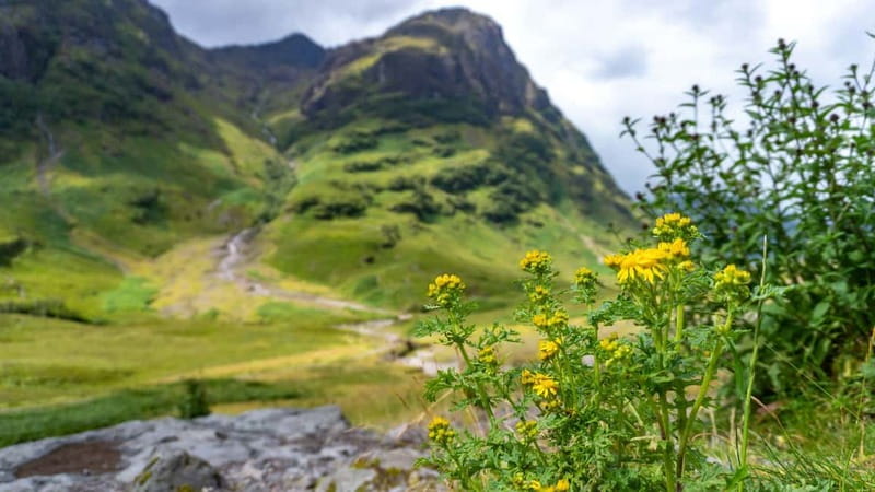 Glasgow: Mountains, Glens & The Loch Ness Monster Day Tour - Key points to know before booking