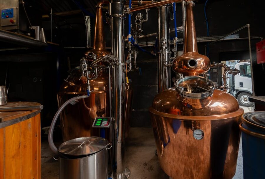 Grasmere Distillery tour - Taste dry gin and sugarbeet vodka