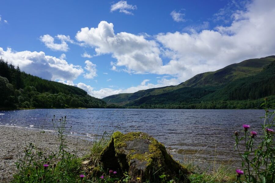 Greenock: Shore Excursion to Stirling Castle and Loch Lomond - Who will enjoy this day most