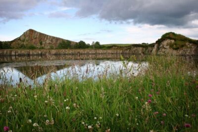 Hadrian’s Wall: 2-Hour Guided Tour