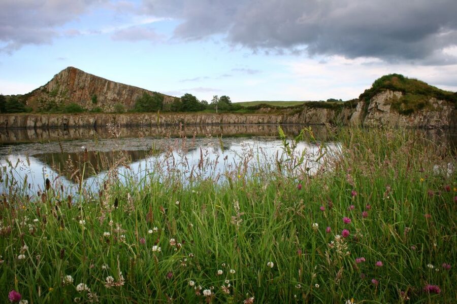Hadrian's Wall: 4.5-Hour Guided Tour - Reading the wall through Northumberland National Park