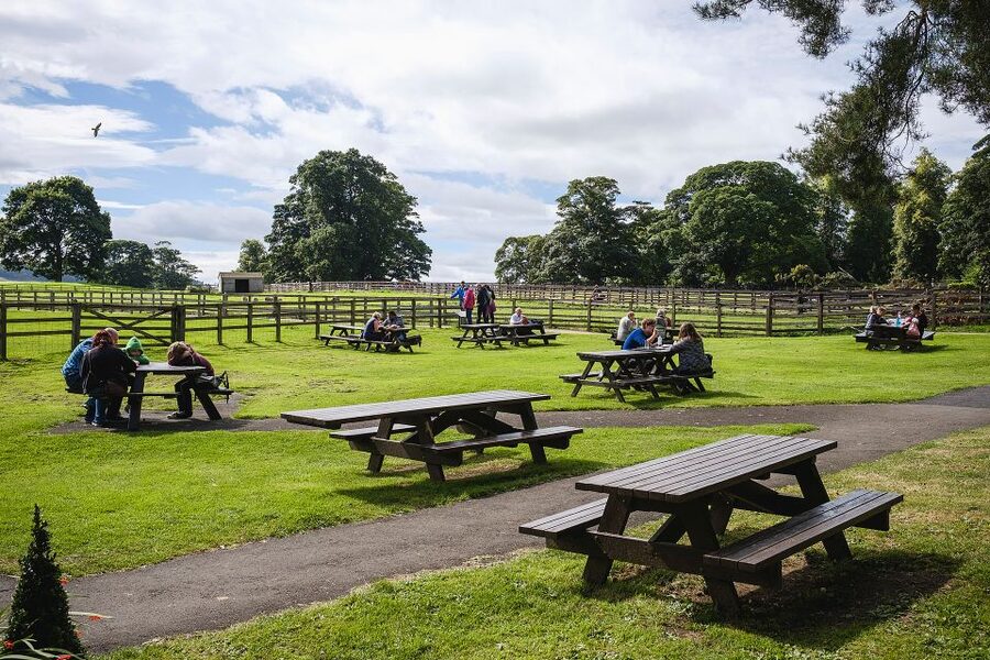 Hadrian's Wall: Chesters Roman Fort and Museum Entry Ticket - Should You Book Chesters Roman Fort?