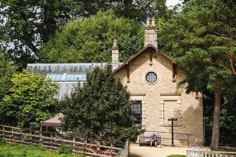 Hadrian's Wall: Chesters Roman Fort and Museum Entry Ticket - The Clayton Museum and Its Edwardian Display Cases