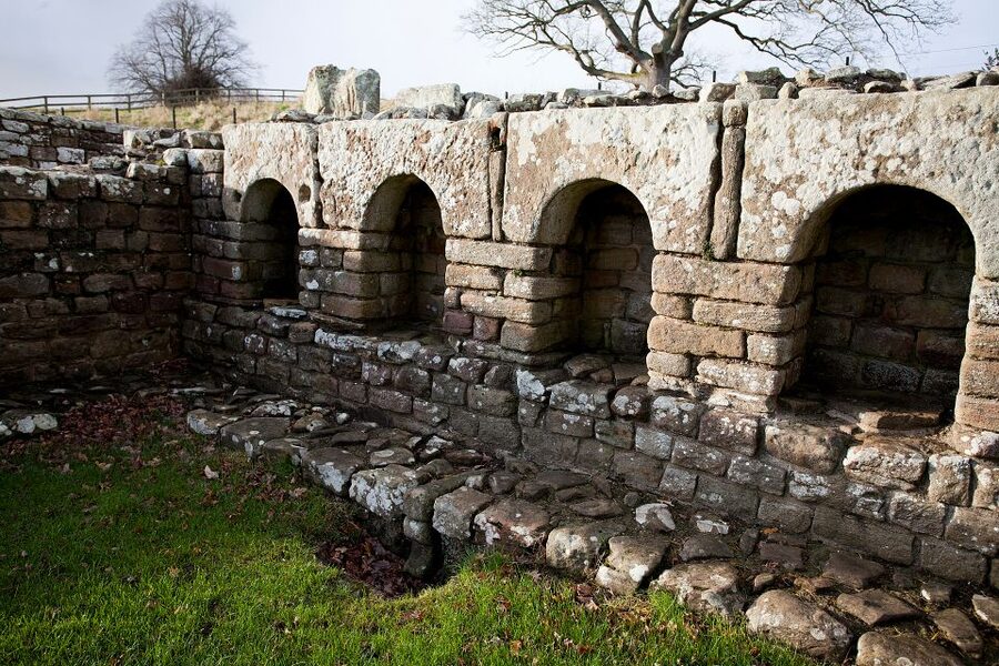 Hadrian's Wall: Chesters Roman Fort and Museum Entry Ticket - The Tearoom and Northumbrian Stottie Cake