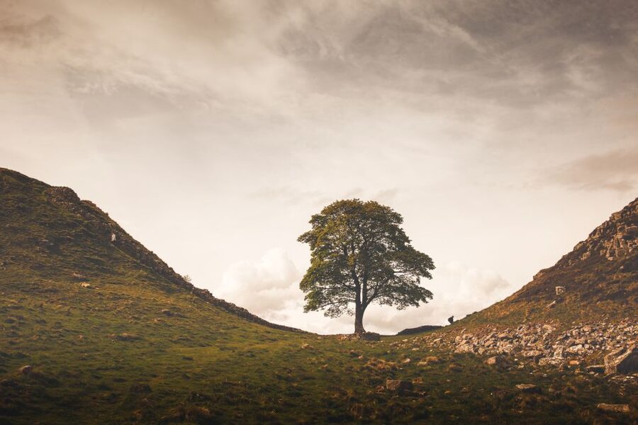 Hadrian's Wall & Roman Britain 1-Day Tour from Edinburgh - Vindolanda, where the frontier becomes personal