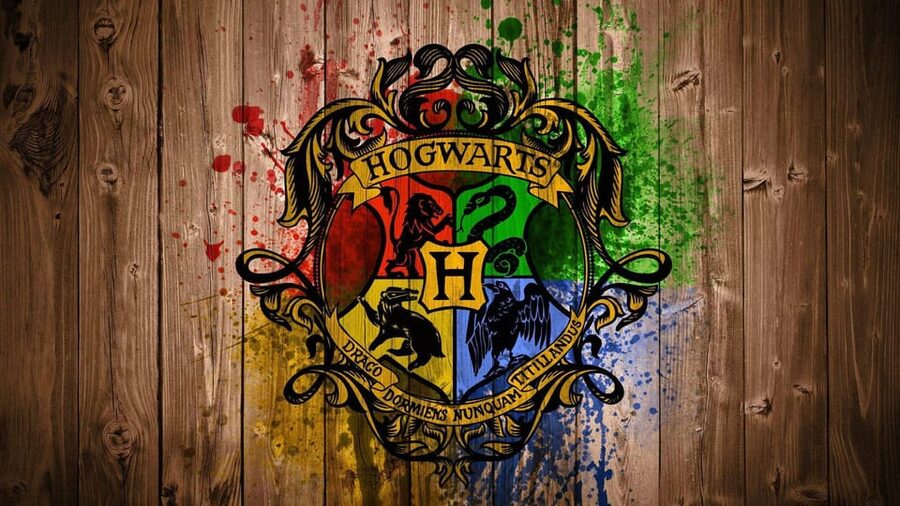 Harry Potter Private Tour of London in Spanish - Reaching King’s Cross and Platform 9¾