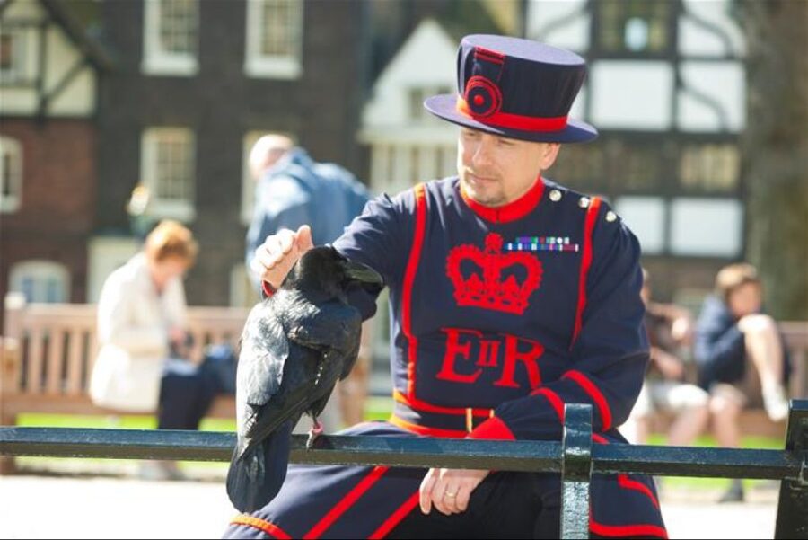 Hop on Hop off London Bus Tour & Tower of London - How the London bus routes fit together