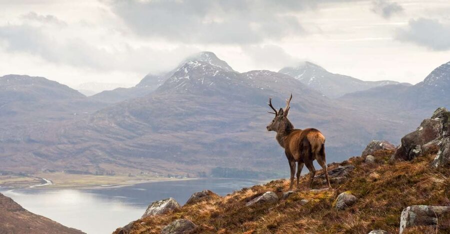 Inverness: Applecross, Loch Carron & Wild Highlands Day Tour - Leaving Inverness and crossing the Black Isle