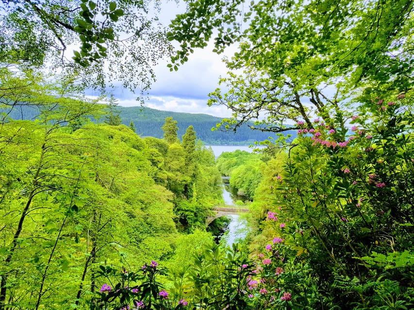 Inverness: Private Secret Hike to the Shores of Loch Ness - Local baking at the Waterfall Cafe