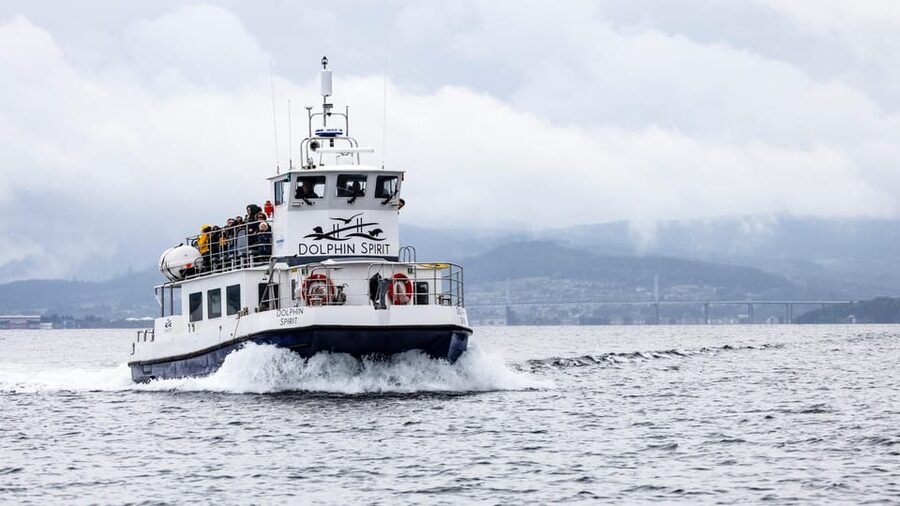 Inverness: Wildlife Watching Cruise to Chanonry Point - Under the Kessock Bridge and into the firth