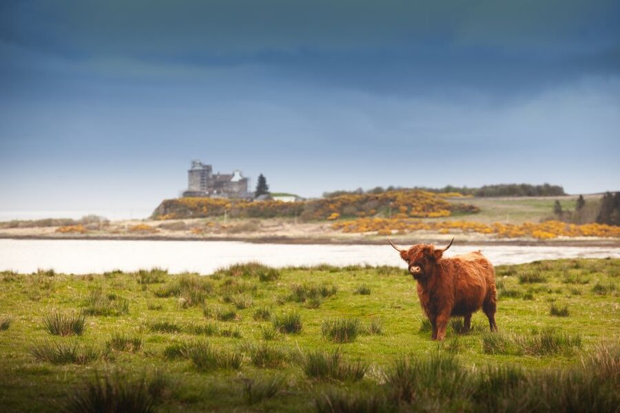Isle of Mull and Iona 3-Day Small-Group Tour from Glasgow - Day 3: Oban, Kilmartin Glen, and the road back to Glasgow