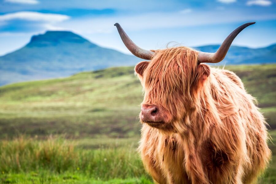 Isle of Skye & The Highlands: 3-Day Guided Tour from Glasgow - Culloden, the Cairngorms, and Pitlochry