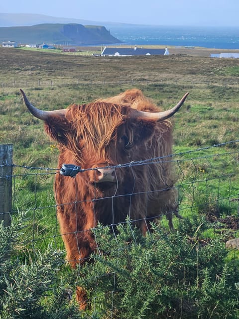 Isle of Skye: Tour the highlights and hidden beauties. - Lealt Falls and Kilt Rock