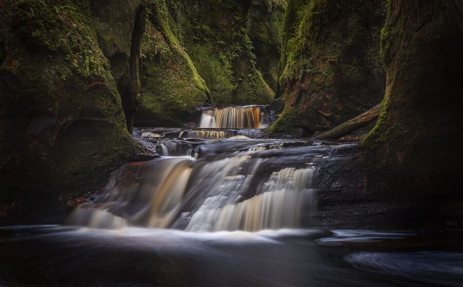 Join the Dark Side of Magical Nature - Key points to know before booking