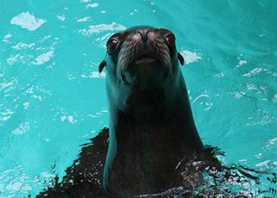 Knowsley: Safari Entry Tickets - Who will enjoy Knowsley Safari most