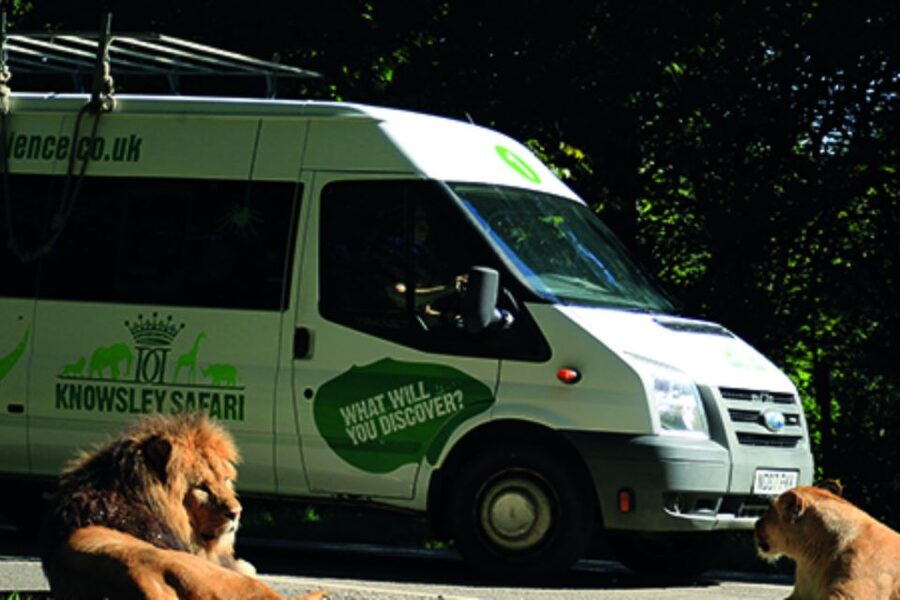 Knowsley: Safari Entry Tickets - Should you book Knowsley Safari?