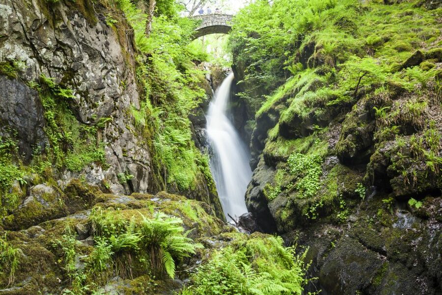 Lake District 3-Day Small Group Tour from Edinburgh - Whinlatter, Buttermere and the Honister mountain road