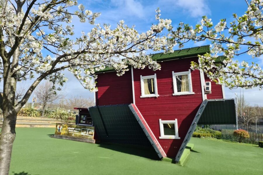 Lakeside: Upside Down House Entry Ticket - Who should book this attraction?