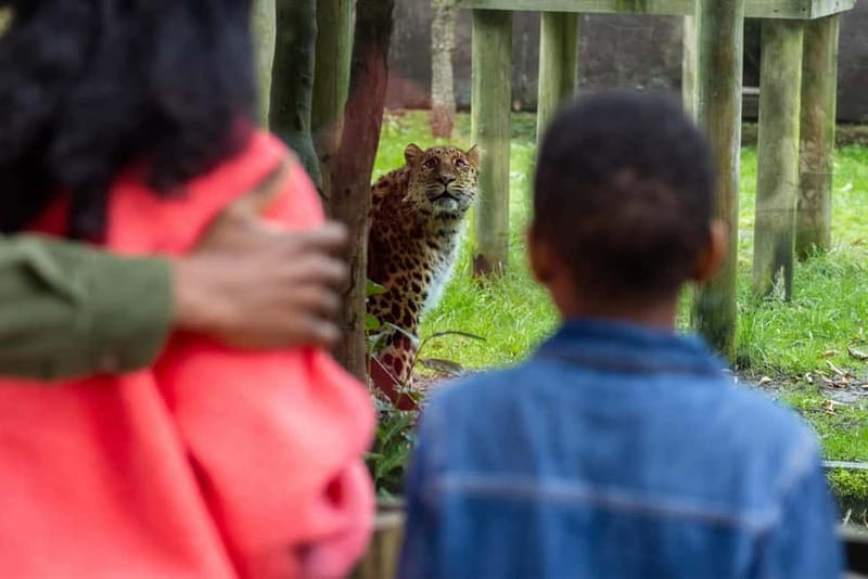 Leicestershire: Twycross Zoo Entry Ticket - Gruffalo Discovery Land and the play areas