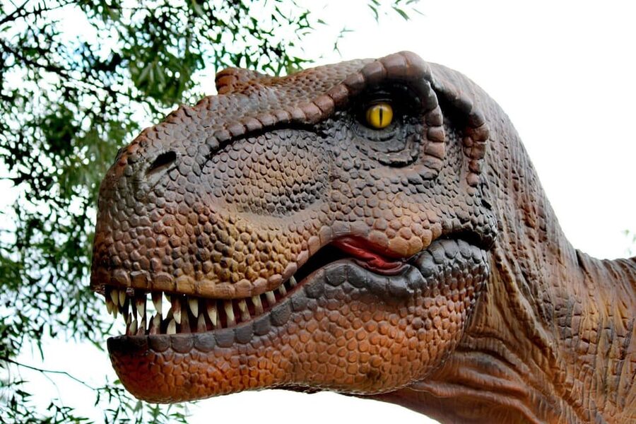 Lincolnshire: ARK Wildlife and Dinosaur Park Entry Ticket - Tropical House, reptiles, and the indoor attractions