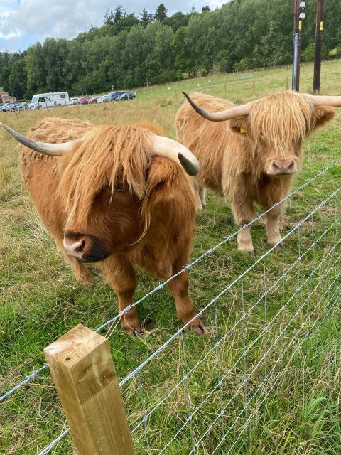 LOCH NESS, INVERNESS, CLAVA CAIRNS & MORE FROM INVERGORDON - Singleton Distillery finishes with a tasting