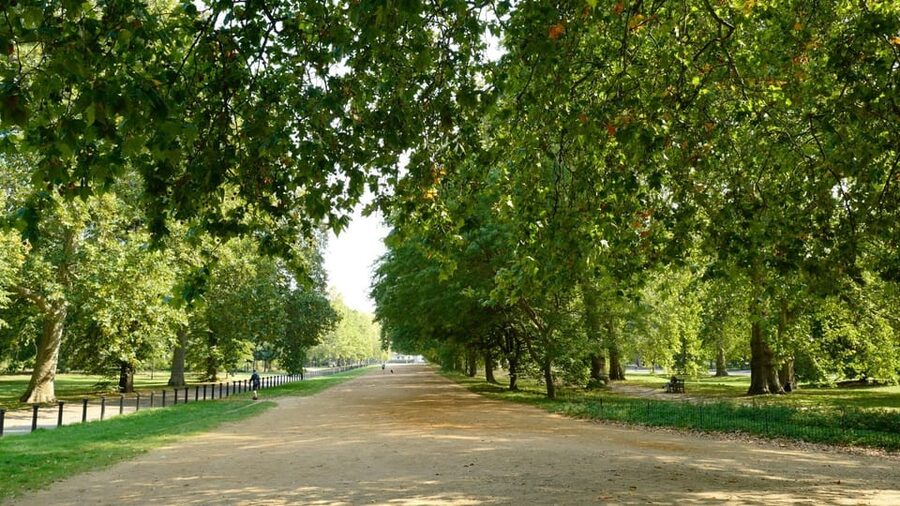 London: 24-Hour Hop-On Hop-Off Bus Pass - The Park and Palace Tour adds a greener western loop