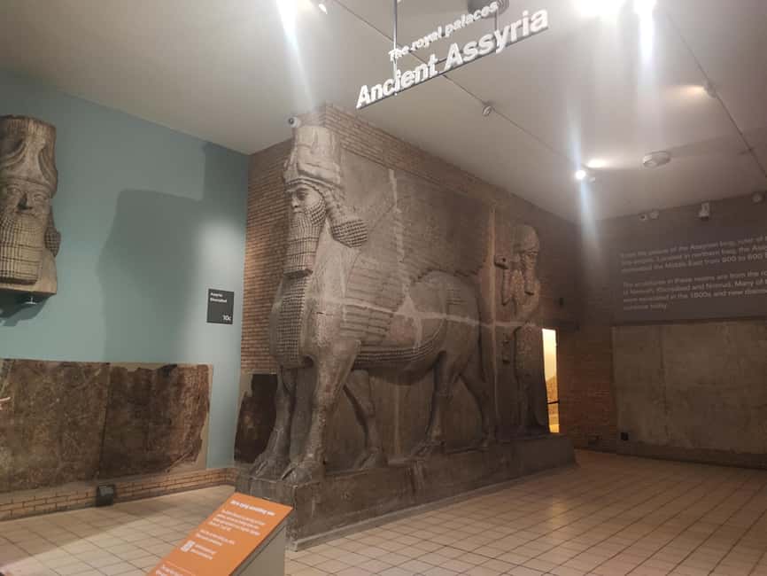 London: British Museum Highlights Tour: How Beauty Was Born - Price, pace, and what you receive