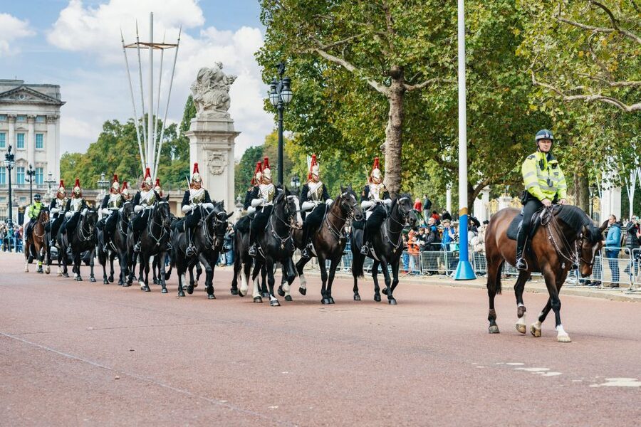 London: Changing of The Guard Tour - Walking demands and group comfort
