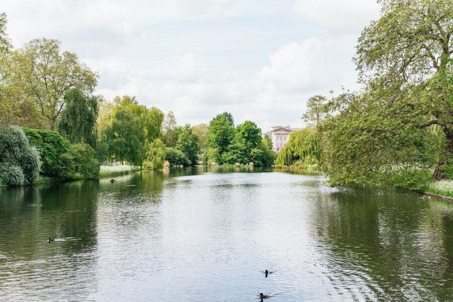 London: Changing of the Guard Tour by Buckingham Palace - Is $18 a fair price?