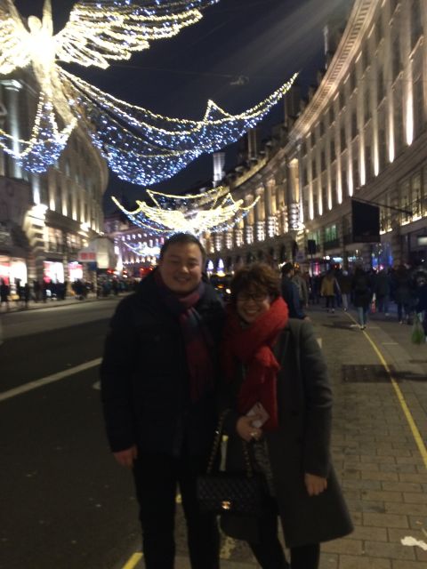 London: Christmas Lights Tour in a Black Cab - Accessibility and group comfort