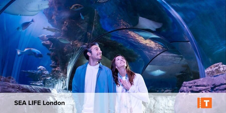London City pass: Top attractions, Hop on Hop off & tours - Madame Tussauds, Shrek’s Adventure, and The London Dungeon