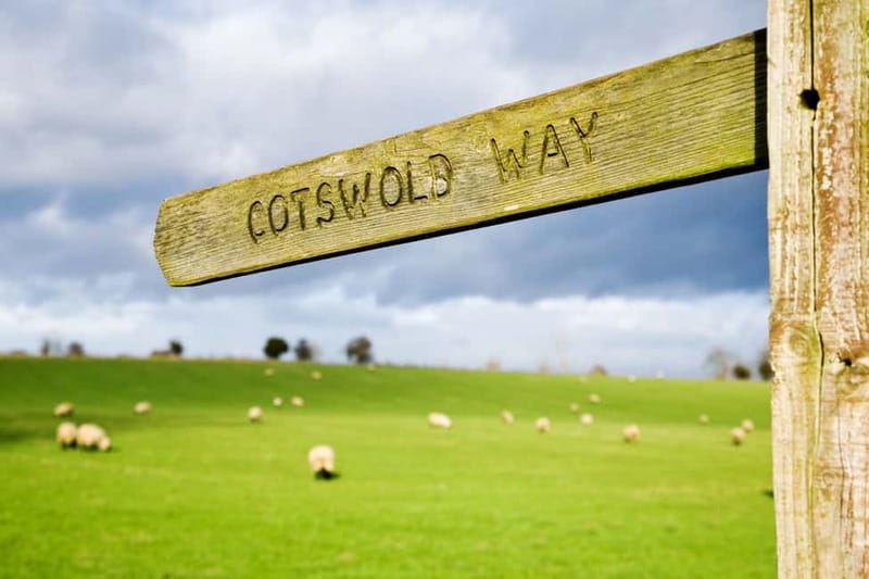London: Cream Tea at Blenheim Palace & the Cotswolds Tour - The guides shape the day