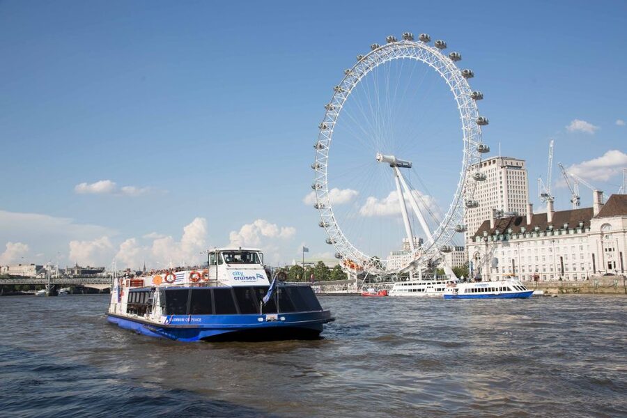 London: Crown Jewels Tour with River Cruise - Timing, Pace, and What You Give Up