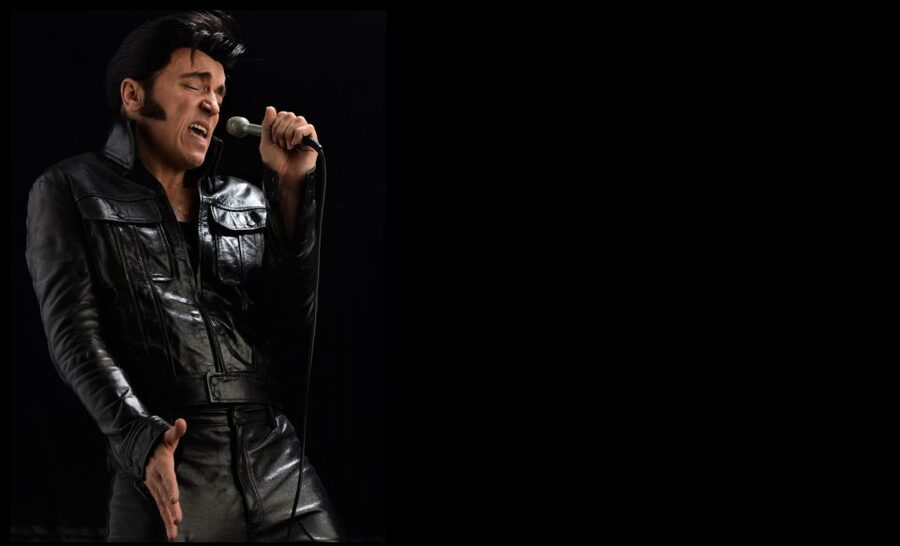 London: Dinner Cruise with Elvis Tribute on the Thames River - Who should book this Elvis cruise?
