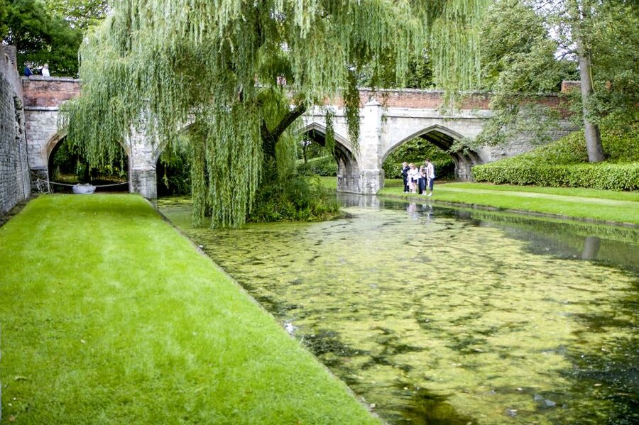 London: Entry Ticket to Eltham Palace and Gardens - Eltham Palace, where medieval royalty meets 1930s style