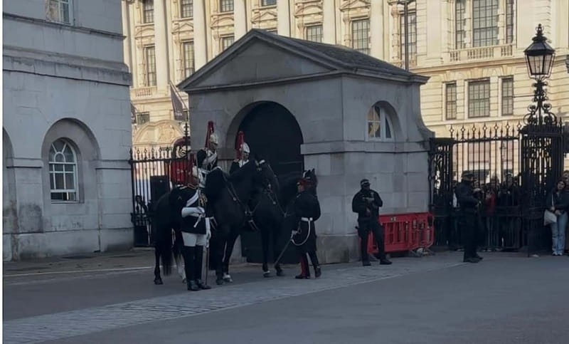 London: Essential Tour and Changing of the Guard, in Spanish - Whitehall, war memorials, and Downing Street