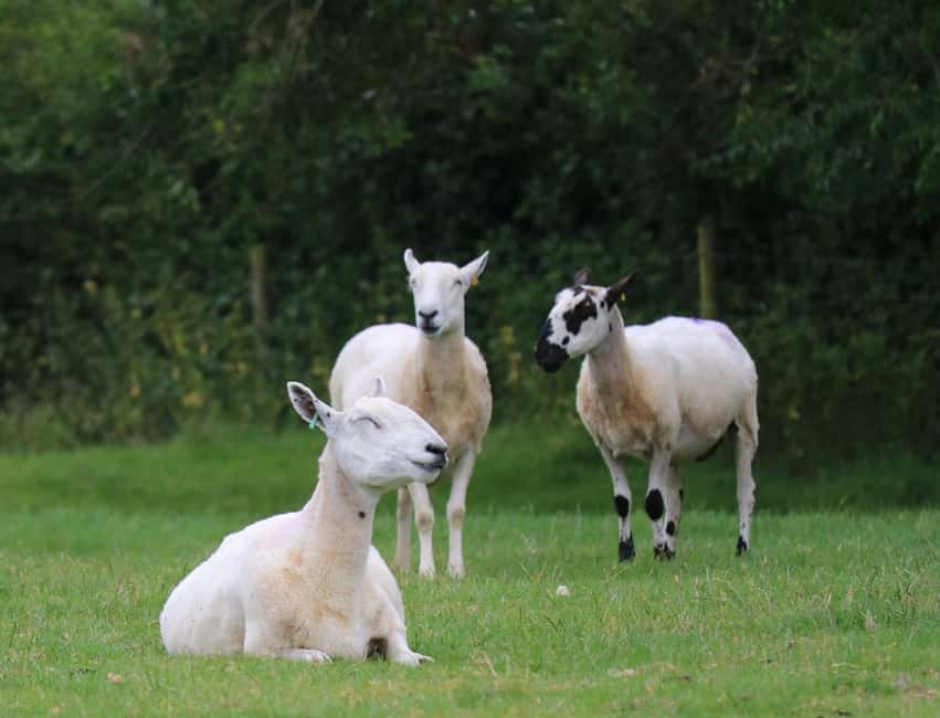 London: Full Day Cotswolds Tour with Shakespeare's Stratford - Bourton-on-the-Water is the best riverside stop