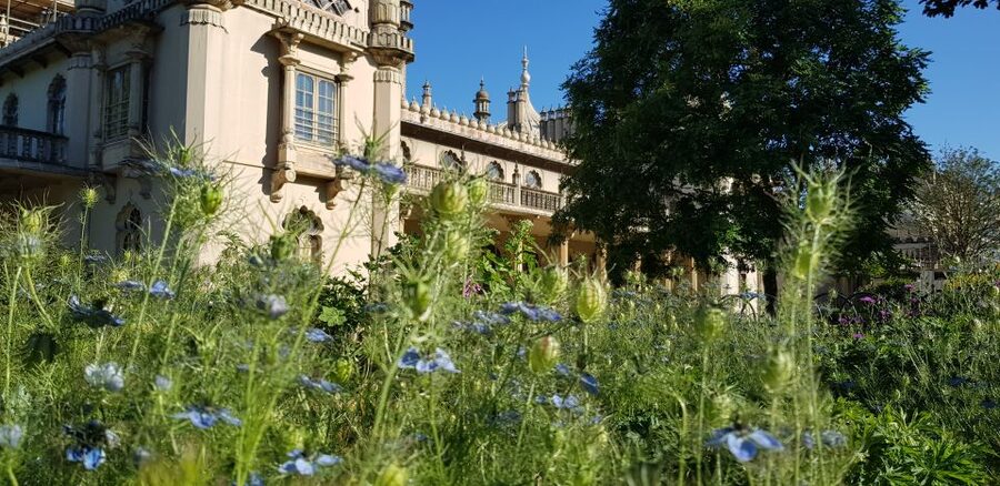 London: Guided Day Trip to Brighton and Seven Sisters - Starting at Your Central London Hotel