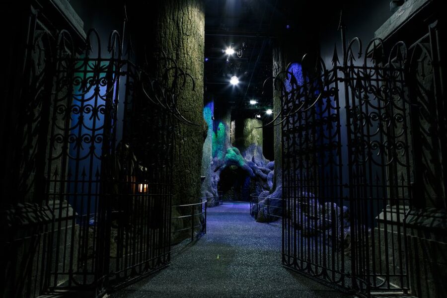 London: Harry Potter Studio Tour and Oxford Day Trip - Entering the Great Hall and the film sets