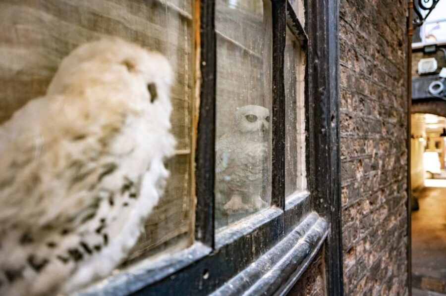 London: Harry Potter Walk, Hop-on Hop-off Bus Tour & Cruise - Key points to know before you book
