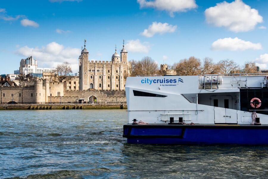 London: Harry Potter Walk, Hop-on Hop-off Bus Tour & Cruise - Starting among real London landmarks