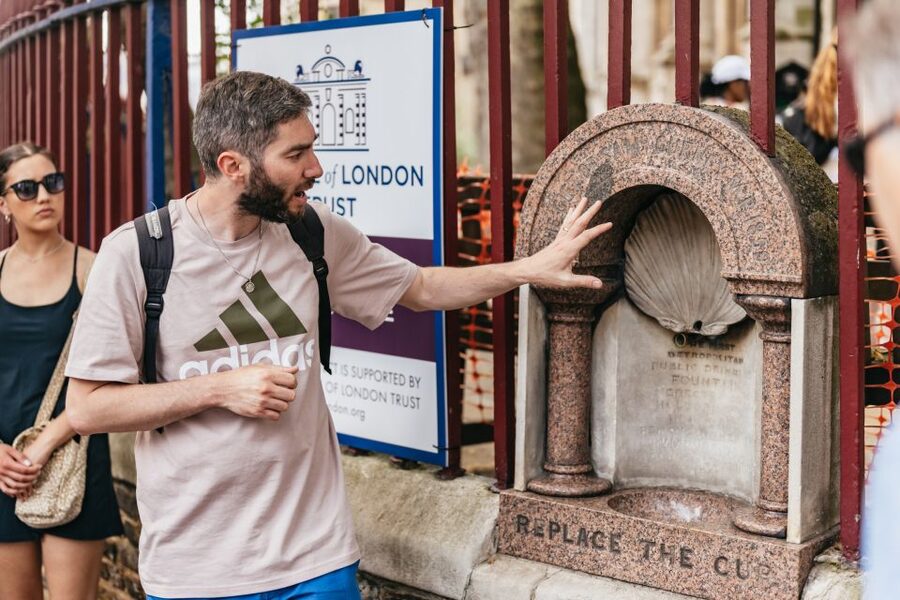 London: Historic Pubs of Central London Walking Tour - Who should book this experience
